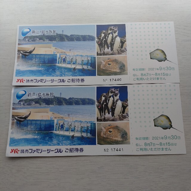 新江ノ島水族館　招待券　２枚セット チケットの施設利用券(水族館)の商品写真