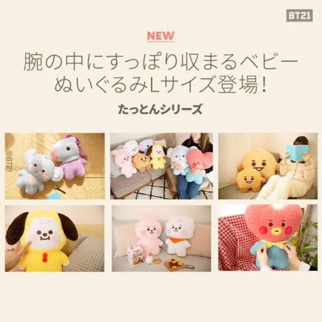 BT21  たっとん　ぬいぐるみ　RJ   EX-L