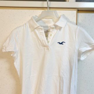 ホリスター(Hollister)の🤍Hollister polo shirt🤍(ポロシャツ)