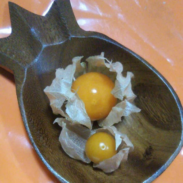 ♥✿大特価✿♥【食用ほおずき】ガク部分♡ハンドメイド♡その他♡500個〜 ネクスファームの「食用ほおずき(フルーツほおずき)」岩手花巻産 約250g(1パック約50g×5パック)減農薬栽培 *送料込 *代引き不可