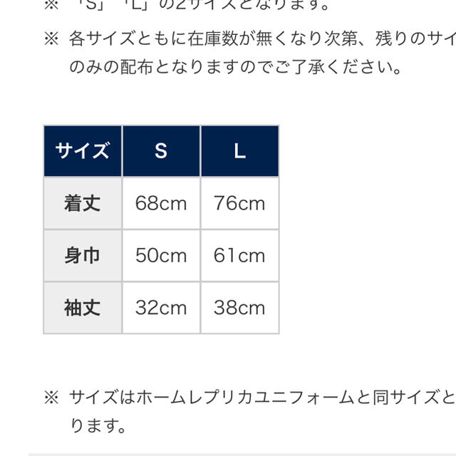 埼玉西武ライオンズ(サイタマセイブライオンズ)の埼玉西武ライオンズ　彩虹ユニフォーム　Lサイズ スポーツ/アウトドアの野球(ウェア)の商品写真