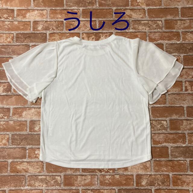 LEPSIM(レプシィム)のLEPSIM 半袖Tシャツ レディースのトップス(Tシャツ(半袖/袖なし))の商品写真