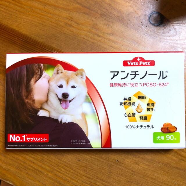 アンチノール　犬用　90粒