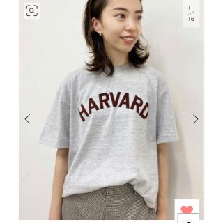 ドゥーズィエムクラス(DEUXIEME CLASSE)の【GOOD ROCK SPEED】HARVARD Tシャツ (Tシャツ(半袖/袖なし))