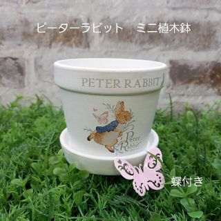 ピーターラビット　ミニ植木鉢　蝶付き(プランター)