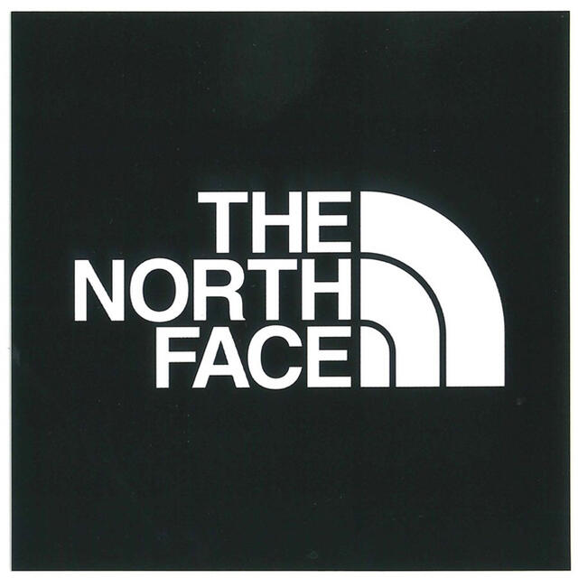 THE NORTH FACE(ザノースフェイス)のヒロ様専用 メンズのトップス(Tシャツ/カットソー(半袖/袖なし))の商品写真