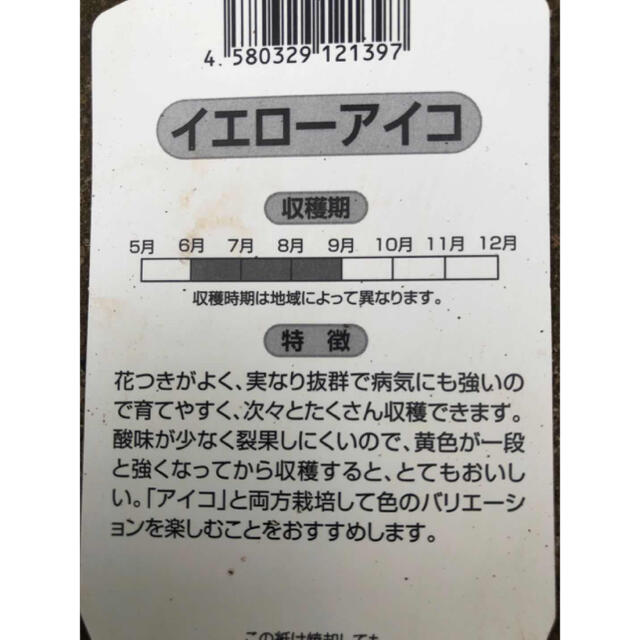 野菜：無農薬ミニトマト：箱にいっぱいまで詰めます 食品/飲料/酒の食品(野菜)の商品写真