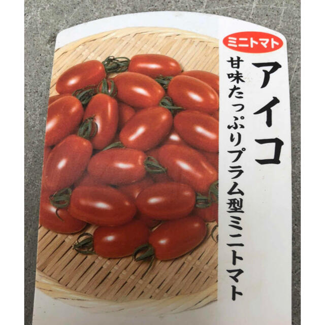 野菜：無農薬ミニトマト：箱にいっぱいまで詰めます 食品/飲料/酒の食品(野菜)の商品写真