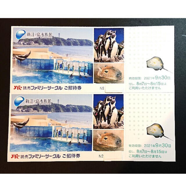 ワンピなど最旬ア! えのすい ご招待券 新江ノ島水族館 ご招待券 チケット 4枚 セット えのすい 招待券 おまけ