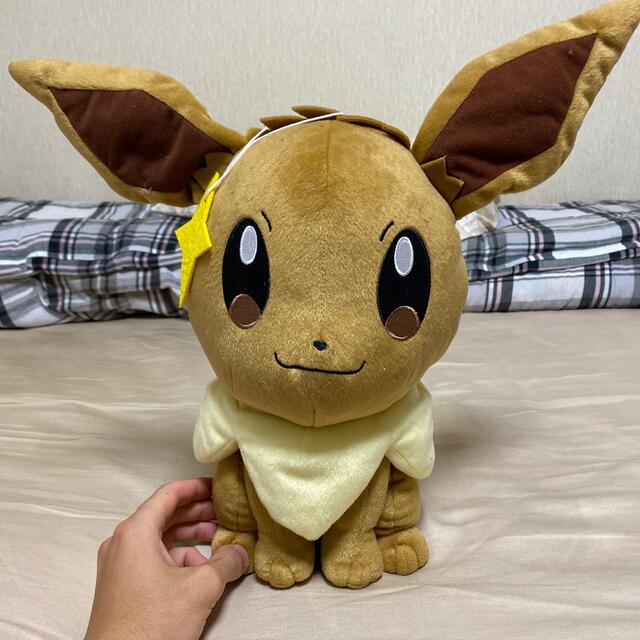 ポケモン ポケモン コロっとまんまるぬいぐるみ つぶらなひとみ イーブイの通販 By 取引したい子の店 ポケモンならラクマ ポケモン ポケモン コロっとまんまるぬいぐるみ つぶらなひとみ イーブイの通販 By 取引したい子の店 ポケモンならラクマ
