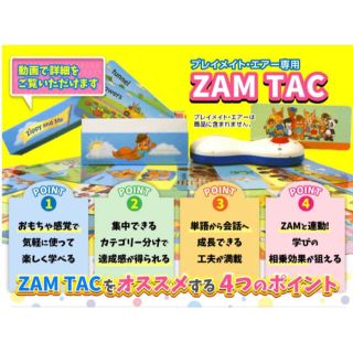 【新品】ズィッピー・アンド・ミーのトークアロング・カード DWE