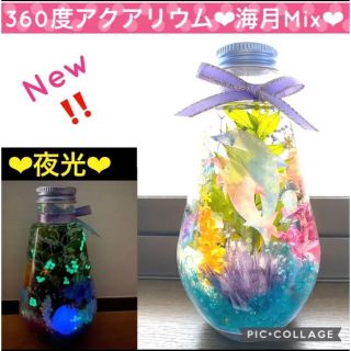 【New】〜360度アクアリウム〜水族館風♡蓄光Mixハーバリウム♡2本(プリザーブドフラワー)