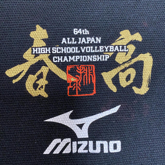 MIZUNO(ミズノ)の春高バレーロングTシャツ　MIZUNO Ｌサイズ スポーツ/アウトドアのスポーツ/アウトドア その他(バレーボール)の商品写真