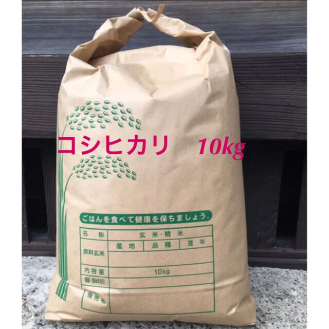 令和2年度産　コシヒカリ　茨城県産　10キロ　米/穀物