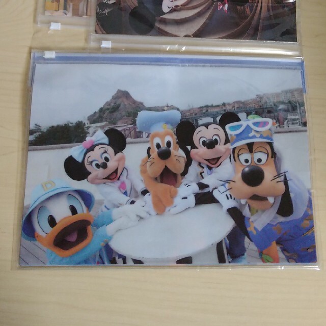 Disney(ディズニー)のディズニー　ファスナー付きケース エンタメ/ホビーのエンタメ その他(その他)の商品写真