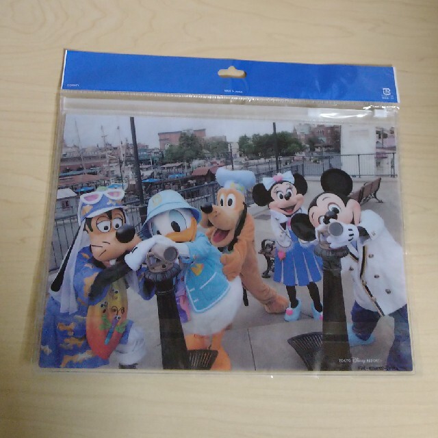 Disney(ディズニー)のディズニー　ファスナー付きケース エンタメ/ホビーのエンタメ その他(その他)の商品写真