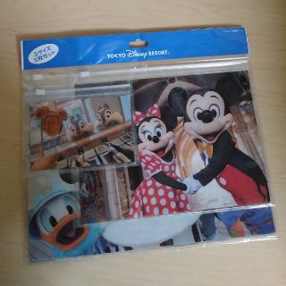 ディズニー(Disney)のディズニー　ファスナー付きケース(その他)