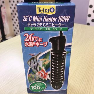 テトラ(Tetra)のtorejan様専用ページ(アクアリウム)