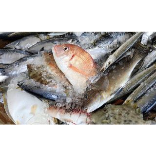 対馬の雑魚三昧干物セット（2 kg）(魚介)