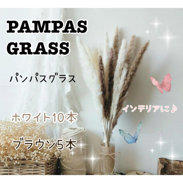 パンパスグラス ⭐︎ドライフラワー　インテリア 15本　ホワイト　ブラウン ハンドメイドのフラワー/ガーデン(ドライフラワー)の商品写真