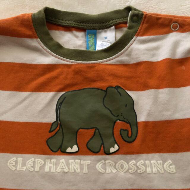 GYMBOREE(ジンボリー)の Gymboree  kids Tシャツ  100 キッズ/ベビー/マタニティのキッズ服男の子用(90cm~)(Tシャツ/カットソー)の商品写真