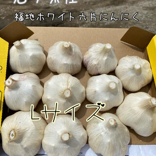 福地ホワイト六片　にんにく(野菜)