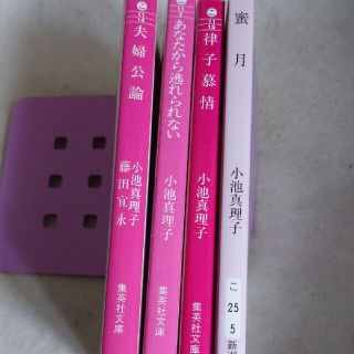 小池真理子作品 ／蜜月／律子慕情／あなたから逃れられない／夫婦公論(文学/小説)