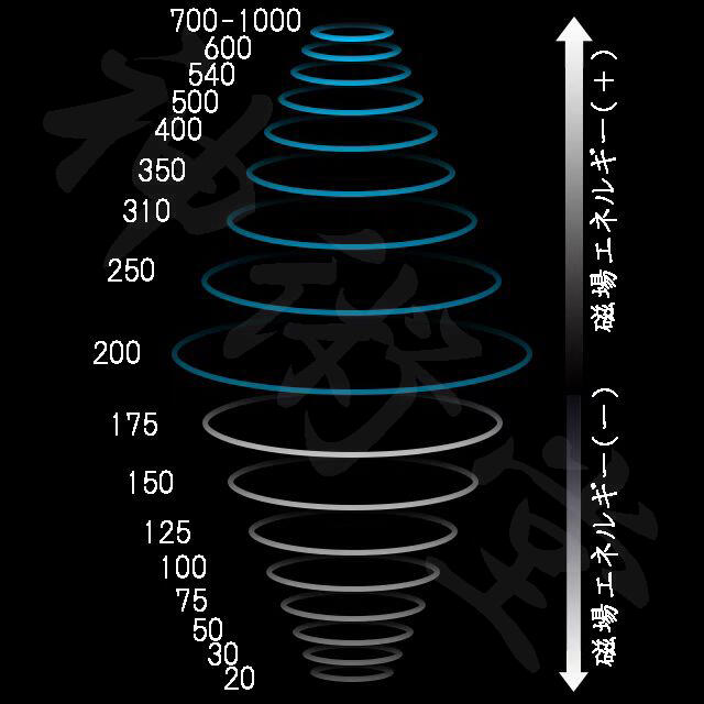 売り廉価 【毎月限定】開運風水お守り白龍神梵字祈祷塩高次元全体運