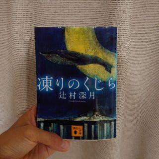 凍りのくじら 辻村深月(その他)