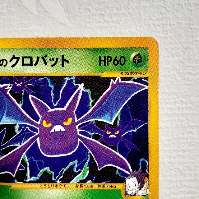 割引オンラインストア アンズのクロバット ポケモンカードe vs www
