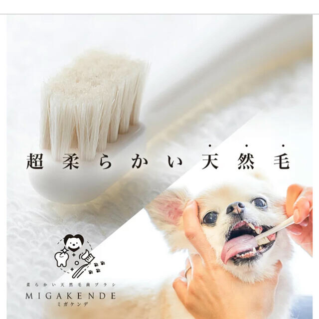 小型犬用歯ブラシ【ミガケンデ確かな心地植毛 ウマ】 その他のペット用品(犬)の商品写真