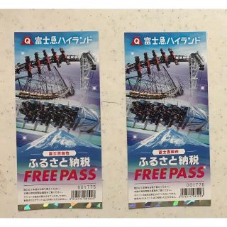 【最終値下げ】富士急ハイランド　フリーパス　2名分 　有効期限：12月末(遊園地/テーマパーク)