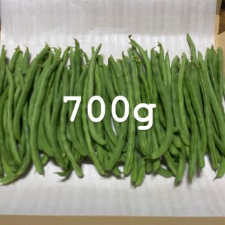 インゲン　700g  ランクA(野菜)
