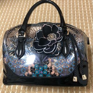 アナスイ(ANNA SUI)のANNA SUI アナスイ バッグ(ショルダーバッグ)