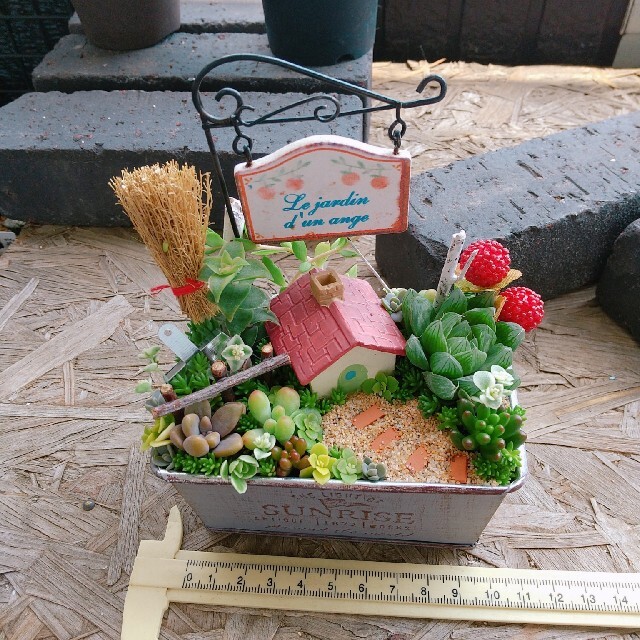 momo's様 専用 多肉植物 寄せ植え   ハンドメイドのフラワー/ガーデン(その他)の商品写真