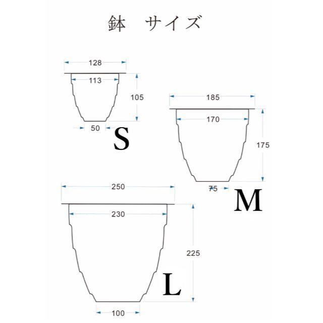 M&M MASSES pot 木村拓哉 鉢 Sサイズ