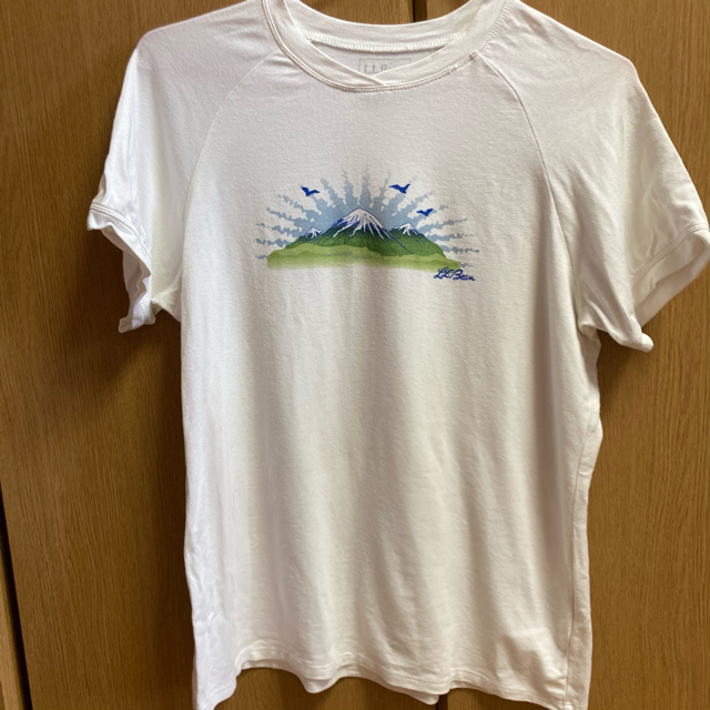 L.L.Bean(エルエルビーン)の【登山や夏フェスに♪】Tシャツ　2枚セット レディースのトップス(Tシャツ(半袖/袖なし))の商品写真