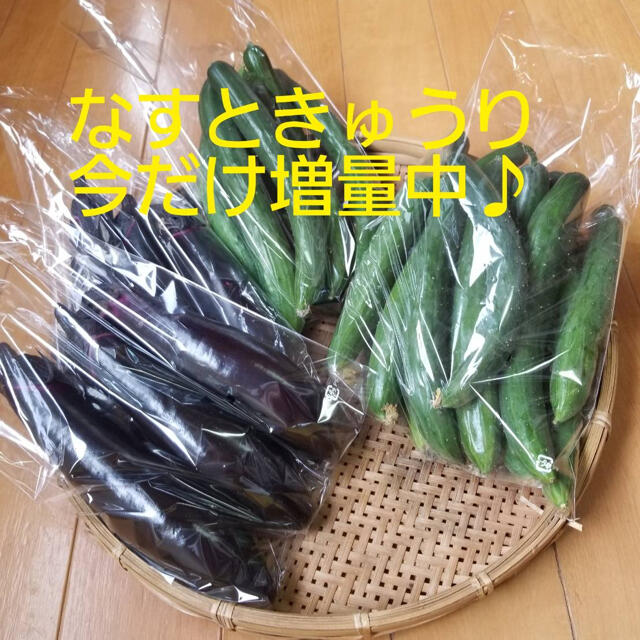 九州とれたて野菜セット 食品/飲料/酒の食品(野菜)の商品写真