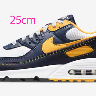 ナイキ(NIKE)のNIKE AIR MAX 90  25cm(スニーカー)