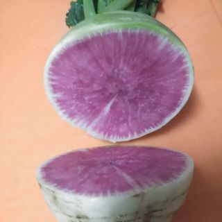 smileさま専用〉野菜の種(その他)