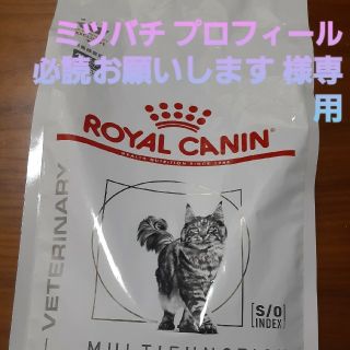 ロイヤルカナン(ROYAL CANIN)のミツバチ プロフィール必読お願いします　専用(ペットフード)