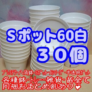 【スリット鉢】Ｓポット丸型60白30個 2号 プレステラ 多肉植物 プラ鉢(プランター)