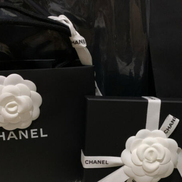 CHANEL(シャネル)の2021’新作新品完売　MATYERS D’ART ランウェイ　チョーカー レディースのアクセサリー(ネックレス)の商品写真