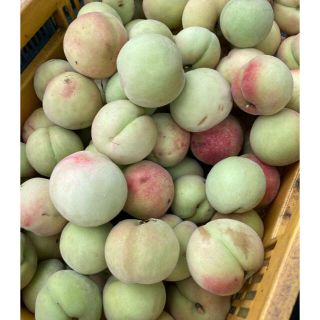 数量限定　若桃　2kg(フルーツ)