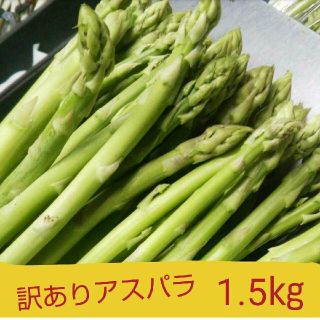 朝どり訳ありグリーンアスパラ1.5㎏(野菜)