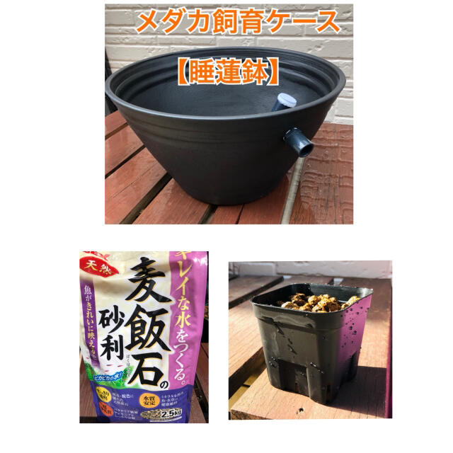 メダカ飼育ケース　睡蓮鉢　麦飯石セット