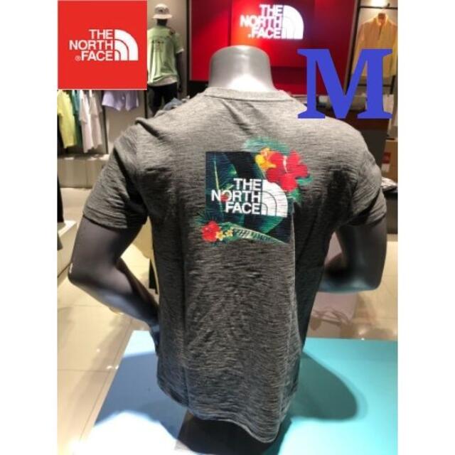 フォロー割引✨海外 ノースフェイス Tシャツ 半袖 綿 グレー/L K139F