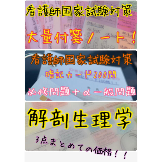 まとめ価格‼︎ 看護師国家試験対策 大量付箋 暗記カード 解剖生理学 付箋ノート