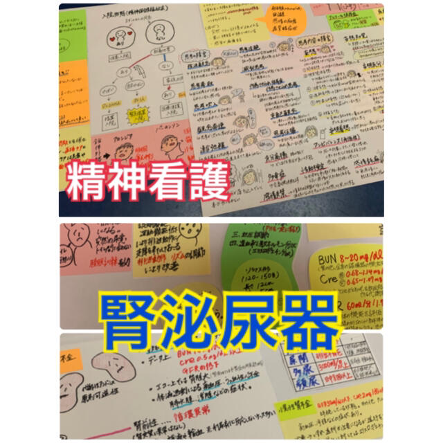 まとめ価格‼︎ 看護師国家試験対策 大量付箋 暗記カード 解剖生理学 付箋ノート