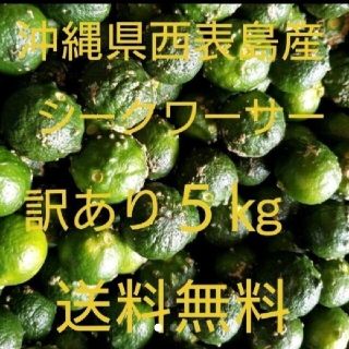 沖縄県西表島産シークヮーサー 訳あり５㎏(フルーツ)